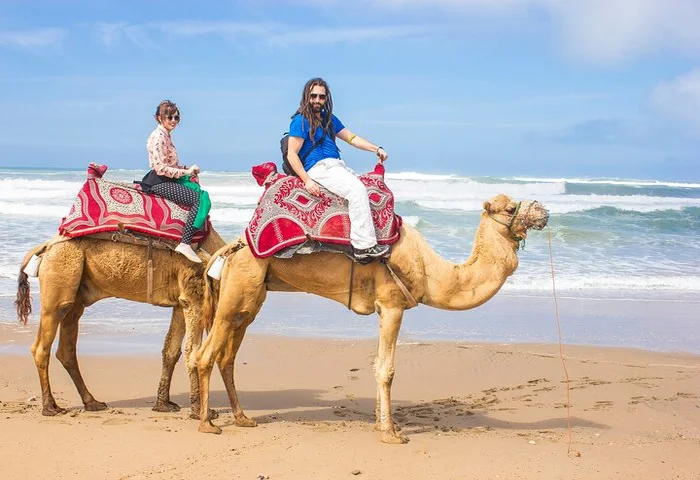 Camel ride agadir taghazout