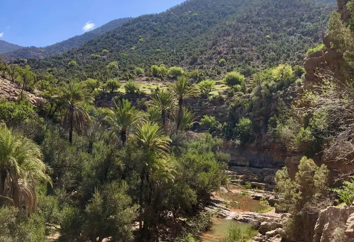 Overnight trekking experience in Agadir exploring Berber villages and sleeping near a peaceful oasis under the stars