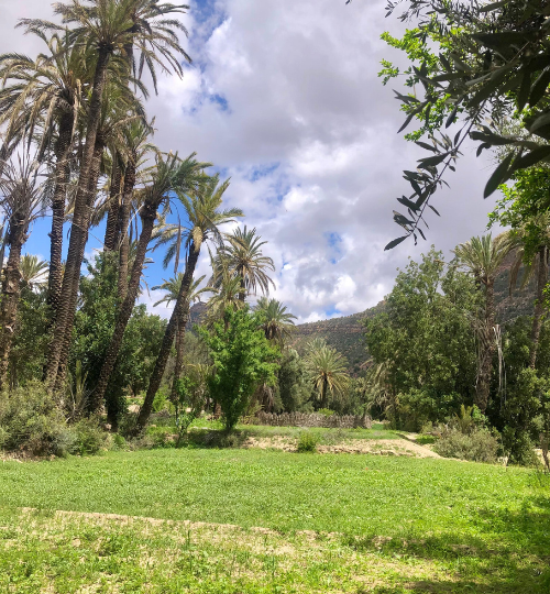 Hiking and swimming in Paradise Valley with Berber family lunch – from Agadir and Taghazout