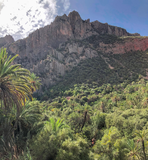 Discover authentic Berber life on a guided hike through mountain villages and share a delicious local lunch with a Berber family.