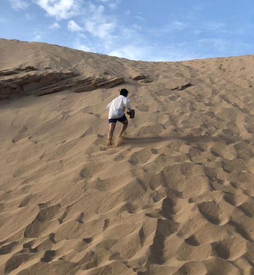 Half-day desert trip to Timlalin dunes near Agadir with thrilling sandboarding experience and panoramic Sahara-style landscapes.