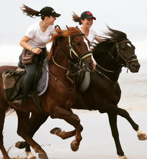 Morning horse ride along Taghazout’s Golden Beach with ocean views and soft sand