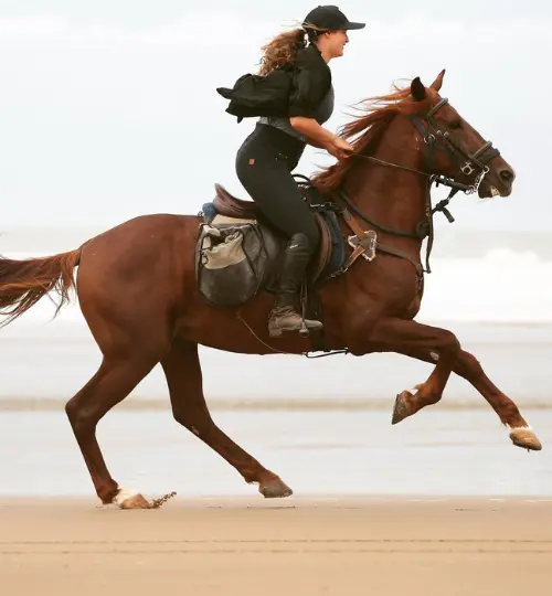 Morning horse ride along Taghazout’s Golden Beach with ocean views and soft sand