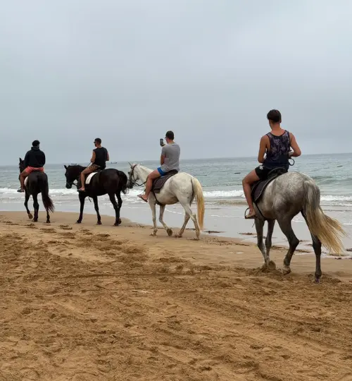Morning horse ride along Taghazout’s Golden Beach with ocean views and soft sand