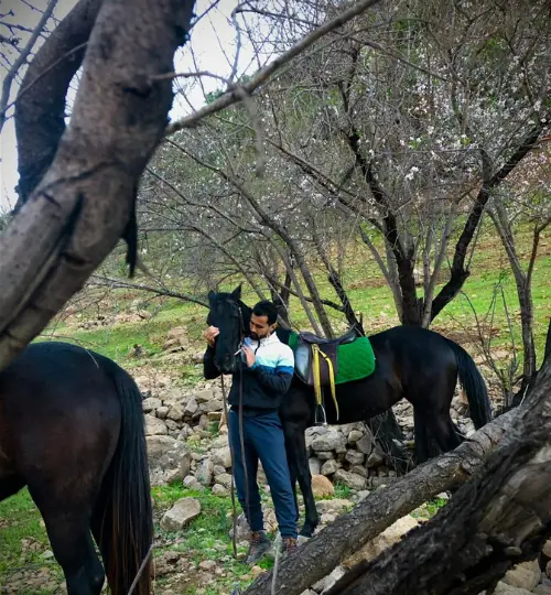 Explore Taghazout’s wild trails on a half-day horse trek through beaches, hills, and untouched nature.