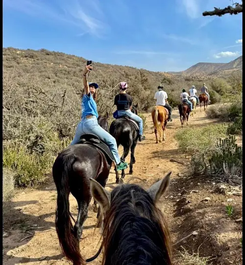 Explore beaches, countryside, and Berber landscapes on a full-day horse ride