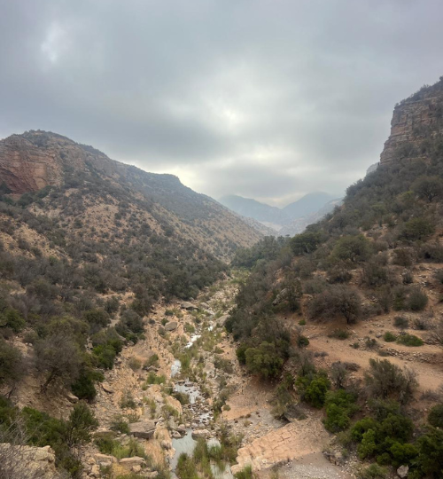 Experience a challenging day hike to El Guez Peak (1,060 m), the highest summit near Agadir, located in the High Atlas Mountains. This adventure offers breathtaking panoramic views, rugged mountain trails, and an authentic outdoor experience led by local guides from Azul Excursions. Perfect for hikers seeking a demanding trek, nature lovers, and travelers looking to explore the wild side of Agadir beyond the coast.