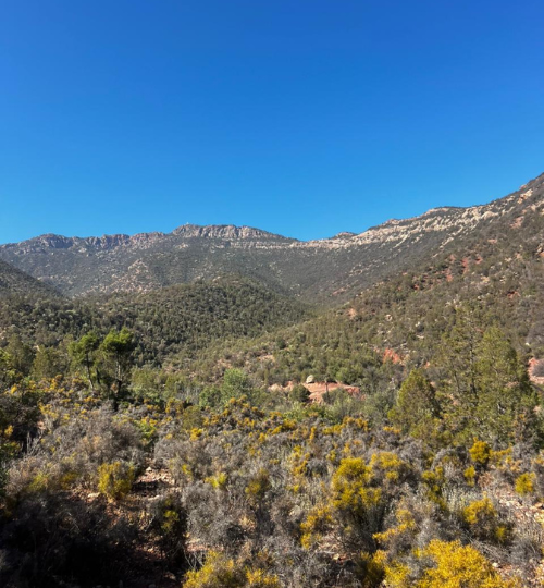 Challenging day hike to El Guez Peak (1,060 m), the highest summit near Agadir in the High Atlas Mountains with Azul Excursions.